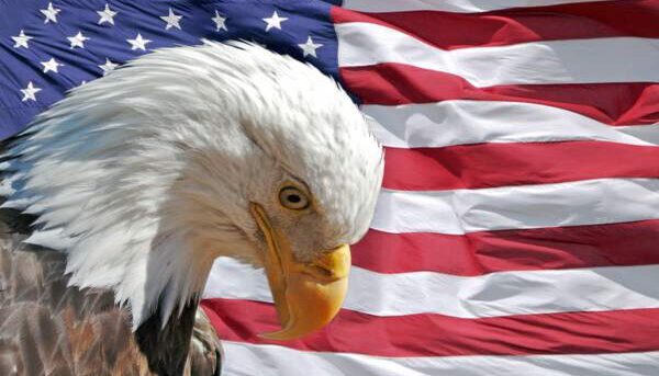 Eagle and am flag